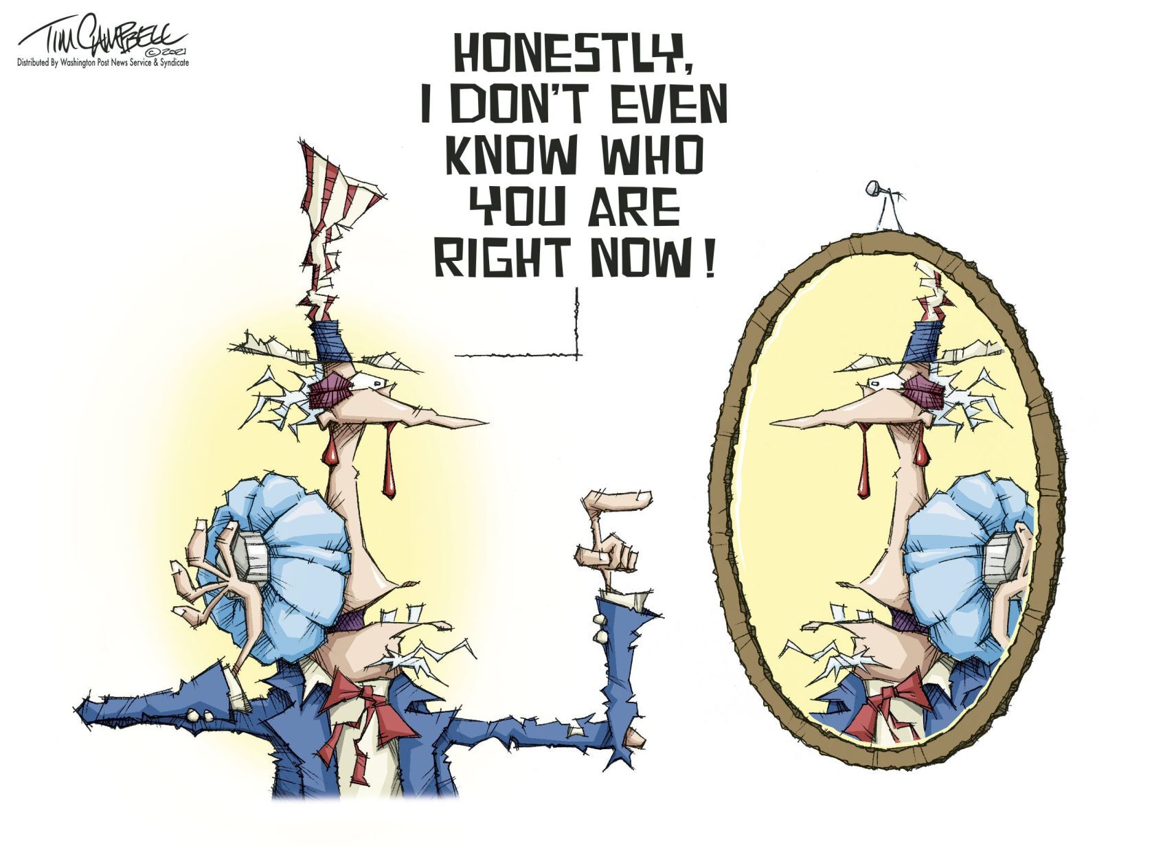 Tim Campbell cartoon 1/13